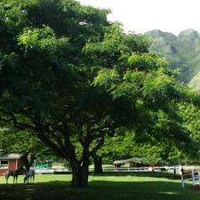 Profile Picture of SUJIN LEE (@sujinlee_116) on Twitter