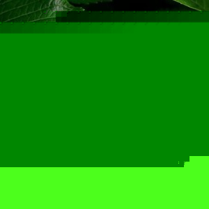 Profile Picture of Earlene J Hayes (@eekaboo50) on Myspace