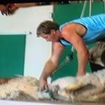 Profile Picture of Dennis Picker (@d.picker) on Instagram