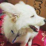 Profile Picture of Kenneth nelson (@kennethnelson008) on Instagram