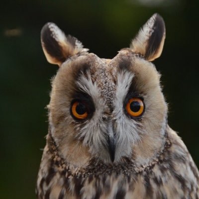 Profile Picture of Andy Wheatley (@WheatleyAn) on Twitter