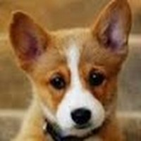 Profile Picture of Skylar Bishop (@skylar-bishop) on Quora