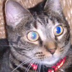 Profile Picture of Mark Matsuyama (@gabzhuh) on Instagram