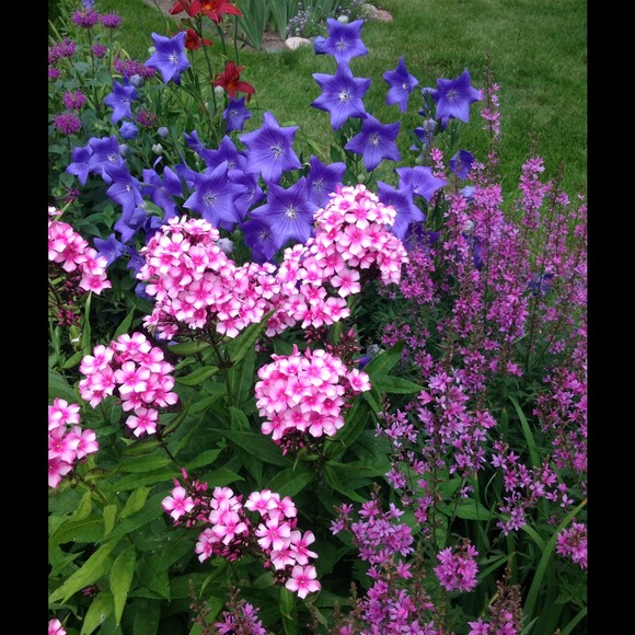 Barb Wieners - Poshmark Profile Picture of Barb Wieners (@bwk84) on Poshmark