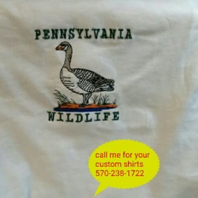 Profile Picture of Scott Levan (@scottlevan7) on Twitter