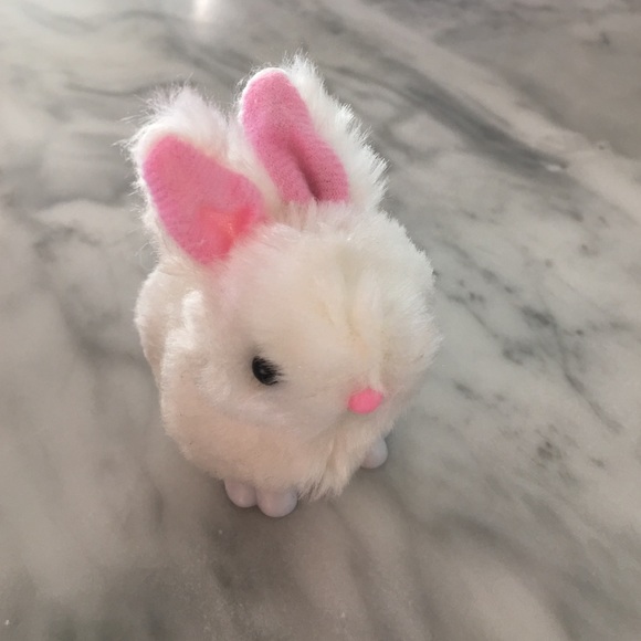 Profile Picture of Pam Algorri (@pamalgorri) on Poshmark
