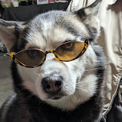 Itzel Castro - Youtube Profile Picture of Itzel Castro (@Itzel-lq4ts2cv2cma) on Youtube