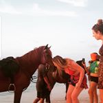 Profile Picture of Shauna Dillane🐾 (@shauna.dillane13) on Instagram