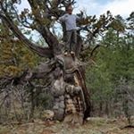Profile Picture of Rick Champ (@rick.champ) on Instagram