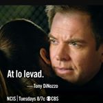 Profile Picture of Peyton Andrews (@peyton.andrews54) on Instagram