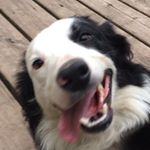 Profile Picture of Davin Phillips (@davinator1986) on Instagram