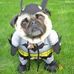 Profile Picture of Steven Hiller (@steven.hiller.568) on Facebook
