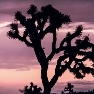 Profile Picture of Kyle Moore (@kylerossmoore) on Instagram