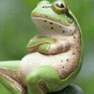 Giuseppe Garozzo (rappresentanze italiane) - Facebook Profile Picture of Giuseppe Garozzo (rappresentanze italiane) (@rappresentanze.italiane) on Facebook