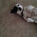 Profile Picture of Deb (@debraobrien7952) on Pinterest
