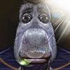 Profile Picture of Joseph Heller (@@josephheller97) on Tiktok