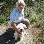 Profile Picture of Janetta Breytenbach (@janettabreytenb) on Pinterest