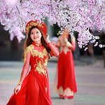 Profile Picture of nguyen lyly (@honglyly2412) on Flickr