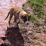 Profile Picture of Daniel Amad Kaiser (@daniel.amad.kaiser) on Facebook