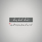 Profile Picture of Sarwat Bashir (@Sarwat-Bashir) on Facebook