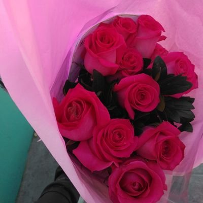 Profile Picture of Alejandro Piñon (@Alejand65177159) on Twitter