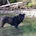 Profile Picture of Buddy Rustin (@buddy.rustin.1) on Facebook
