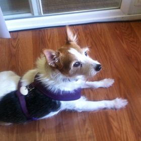 Profile Picture of Grace Pheasant (@gracepheasant7) on Pinterest