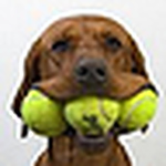 Profile Picture of creativecaninecare (@creativecaninecare) on Flickr