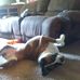 Profile Picture of Cindy Swain (@cindy.swain.9404) on Facebook
