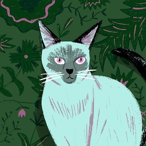 Profile Picture of davinovinski (@novisnki) on Tiktok