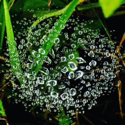 Profile Picture of Dalton Mello Valerio (@mello_valerio) on Twitter