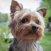Profile Picture of James Orndorff (@james-orndorff-1) on Quora
