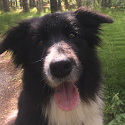 Profile Picture of Michala Geleff (@lmfogd3158) on Youtube