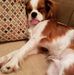 Profile Picture of Marie Peterman (@marie.peterman.50) on Facebook