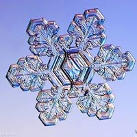 Profile Picture of Timea Nagy (@timea-nagy-1) on Quora