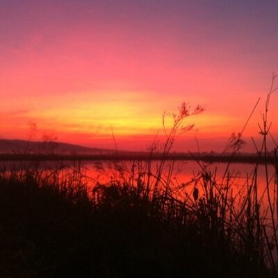 Profile Picture of Brian Bartch (@NotThatBrian) on Twitter