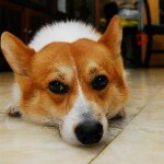 Profile Picture of Stephen Tsao (@stephen_tsao) on Instagram