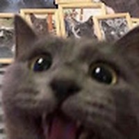 Profile Picture of Mackenzie Dowdy (@mackenzie-dowdy-4) on Quora