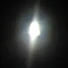 Profile Picture of Robert Conneally477 (@robertconneally47) on Tiktok