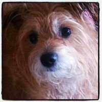 Profile Picture of Mrs. Jerry Parnell (@jpbassplayer) on Twitter