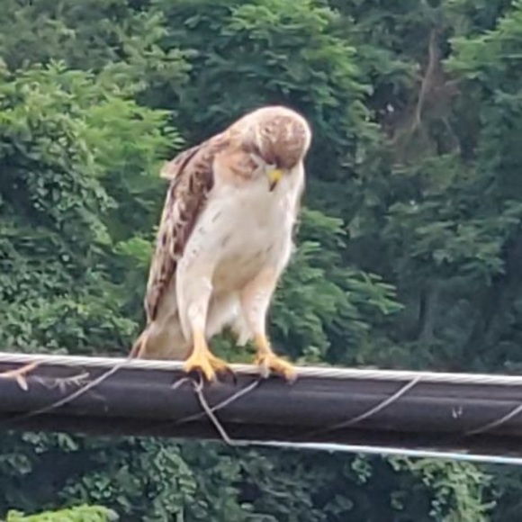 Profile Picture of Nathan Arthur (@nathanarthur344) on Poshmark