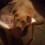 Profile Picture of Adonna Willis (@adonna.willis.54) on Facebook