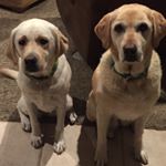 Profile Picture of Abbey And Hazel (@2_bad__bitches) on Instagram