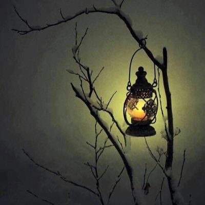 Profile Picture of Diane Busey Endea (@DEndea) on Twitter