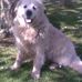 Profile Picture of Paul Sexton (@paul.sexton.3785) on Facebook