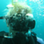 Profile Picture of Sandra Busch (@sandy suh) on Flickr