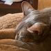 Profile Picture of Joe Hosmer (@joe.hosmer.10441) on Facebook