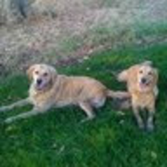 Profile Picture of Jennifer Wanzong (@jwanzong) on Poshmark