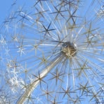 Profile Picture of Lori Borowski (@lori.borowski.7) on Facebook