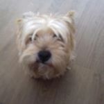 Profile Picture of Nora jansen (@noradeh0nd) on Instagram